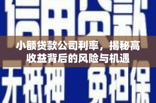 贵德小额贷款公司利率，揭秘高收益背后的风险与机遇