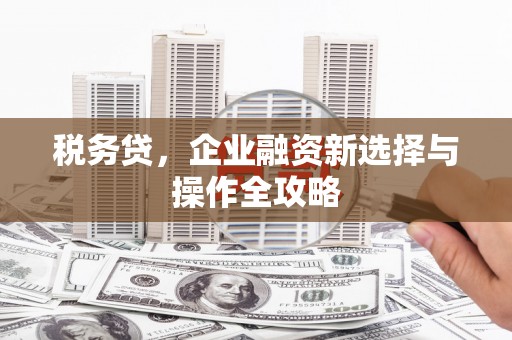 南安税务贷，企业融资新选择与操作全攻略