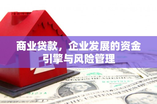 迪庆商业贷款，企业发展的资金引擎与风险管理
