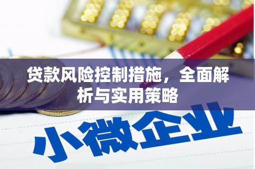 乐亭贷款风险控制措施，全面解析与实用策略