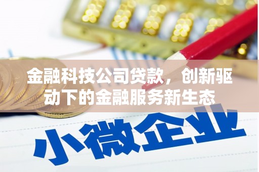 双清金融科技公司贷款，创新驱动下的金融服务新生态
