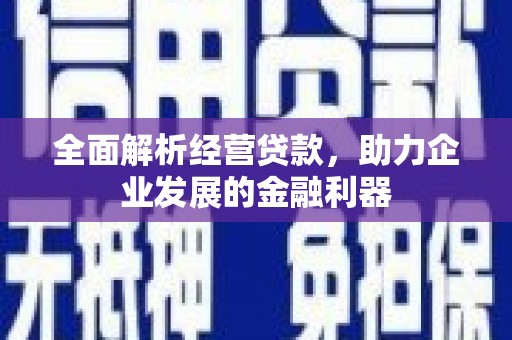 平舆全面解析经营贷款，助力企业发展的金融利器