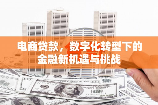 玉树电商贷款，数字化转型下的金融新机遇与挑战