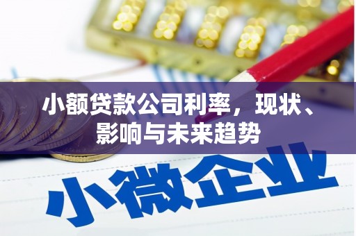 浉河小额贷款公司利率，现状、影响与未来趋势