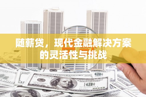 黔东南随薪贷，现代金融解决方案的灵活性与挑战