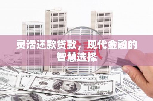 颍上灵活还款贷款，现代金融的智慧选择
