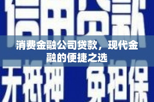 佛坪消费金融公司贷款，现代金融的便捷之选