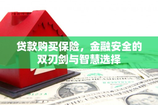 七台河贷款购买保险，金融安全的双刃剑与智慧选择