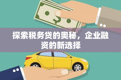 漳州探索税务贷的奥秘，企业融资的新选择