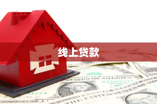 枞阳线上贷款