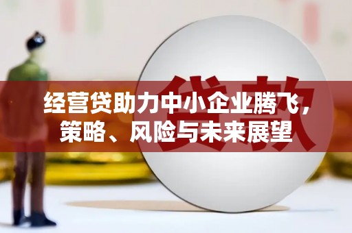 临海经营贷助力中小企业腾飞，策略、风险与未来展望