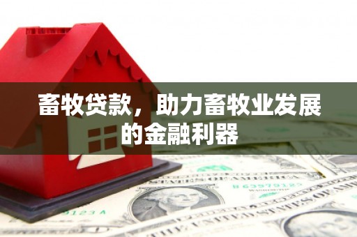 南京畜牧贷款，助力畜牧业发展的金融利器