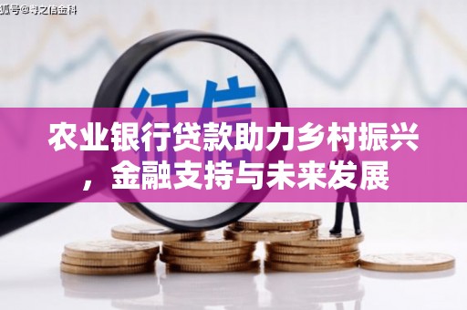 美姑农业银行贷款助力乡村振兴，金融支持与未来发展