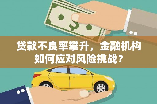 沁源贷款不良率攀升，金融机构如何应对风险挑战？
