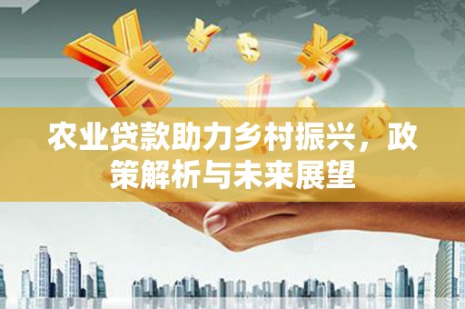 唐县农业贷款助力乡村振兴，政策解析与未来展望
