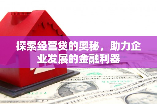 丰顺探索经营贷的奥秘，助力企业发展的金融利器