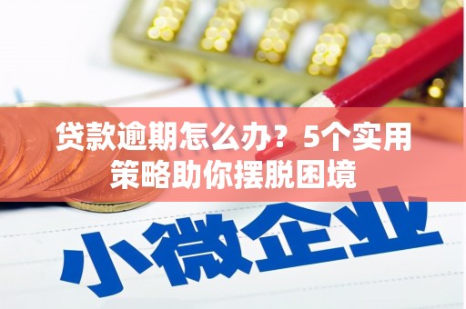 狮子山贷款逾期怎么办？5个实用策略助你摆脱困境