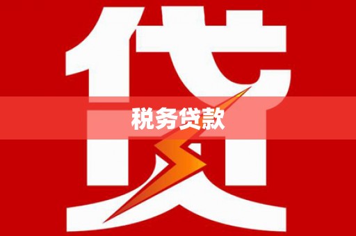 泾河税务贷款