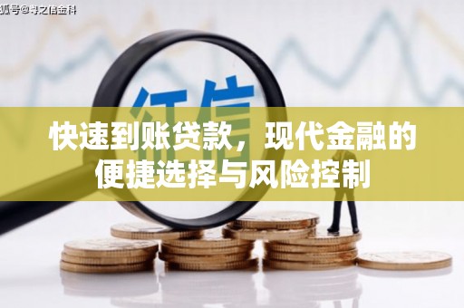 沙鹿快速到账贷款，现代金融的便捷选择与风险控制