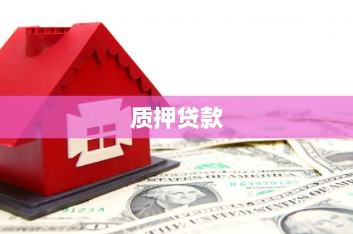彝良质押贷款