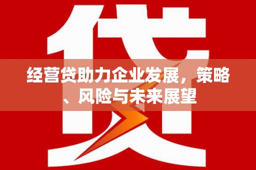 扶绥经营贷助力企业发展，策略、风险与未来展望