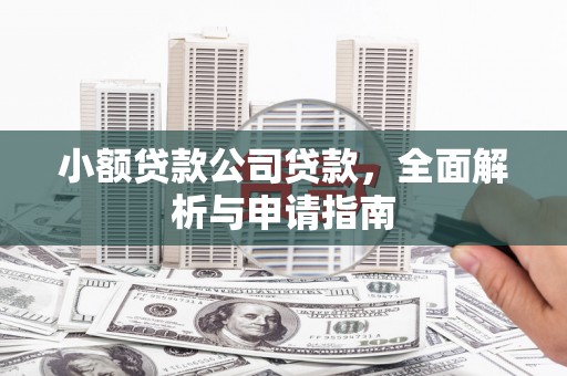 蕉城小额贷款公司贷款，全面解析与申请指南