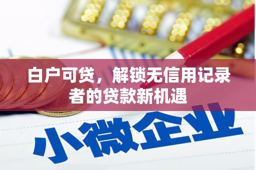天津白户可贷，解锁无信用记录者的贷款新机遇