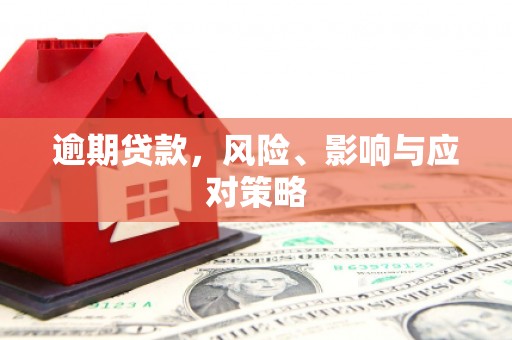 荔湾逾期贷款，风险、影响与应对策略