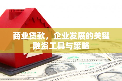 顺昌商业贷款，企业发展的关键融资工具与策略
