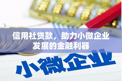 云浮信用社贷款，助力小微企业发展的金融利器