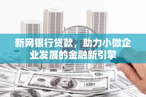 大武新网银行贷款，助力小微企业发展的金融新引擎