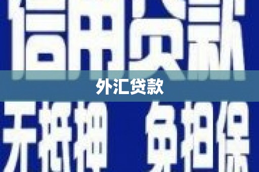 麻江外汇贷款