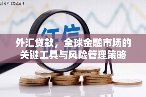 江西外汇贷款，全球金融市场的关键工具与风险管理策略