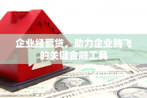 岢岚企业经营贷，助力企业腾飞的关键金融工具