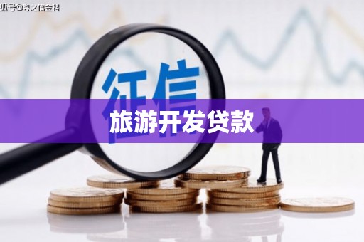 保税港区旅游开发贷款