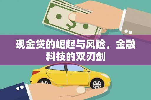 茂林现金贷的崛起与风险，金融科技的双刃剑