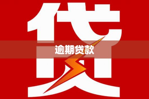 林甸逾期贷款