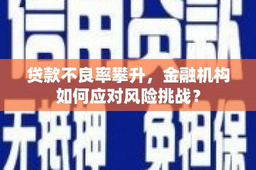 黄骅贷款不良率攀升，金融机构如何应对风险挑战？