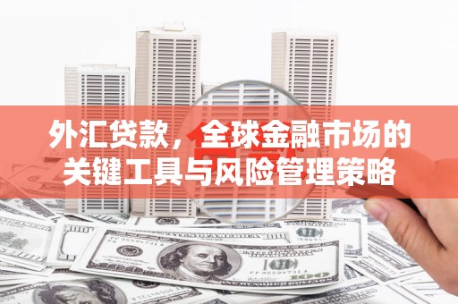 留坝外汇贷款，全球金融市场的关键工具与风险管理策略