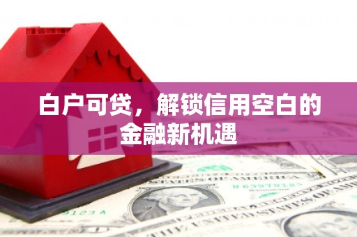 长岭白户可贷，解锁信用空白的金融新机遇