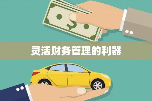 宝安灵活财务管理的利器