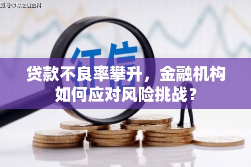 沈河贷款不良率攀升，金融机构如何应对风险挑战？