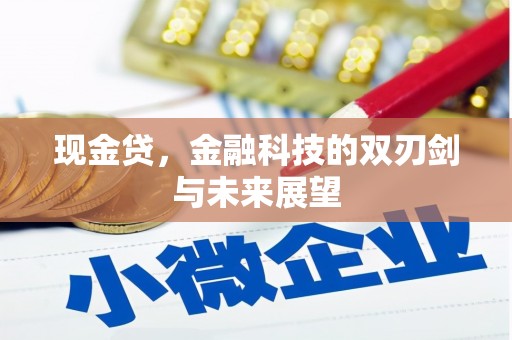 邯郸现金贷，金融科技的双刃剑与未来展望