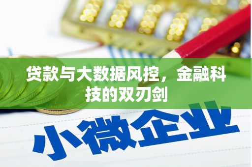 新会贷款与大数据风控，金融科技的双刃剑