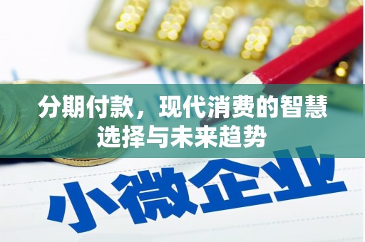西市分期付款，现代消费的智慧选择与未来趋势