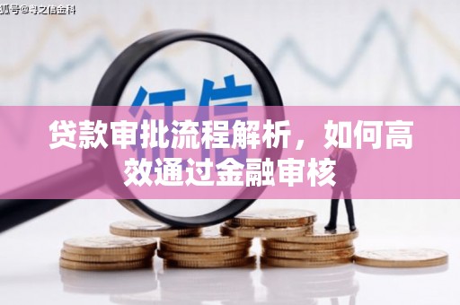 路环岛贷款审批流程解析，如何高效通过金融审核