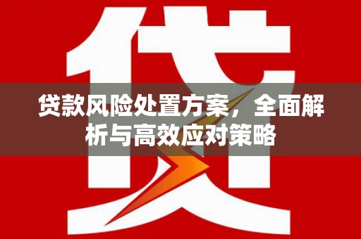 孟村贷款风险处置方案，全面解析与高效应对策略