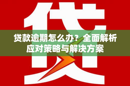 泗阳贷款逾期怎么办？全面解析应对策略与解决方案