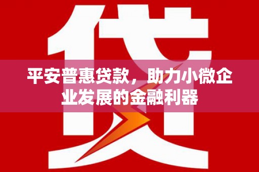 奎屯平安普惠贷款，助力小微企业发展的金融利器