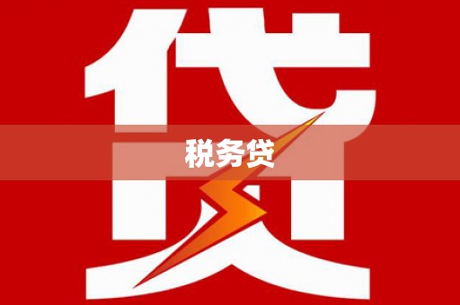 魏县税务贷